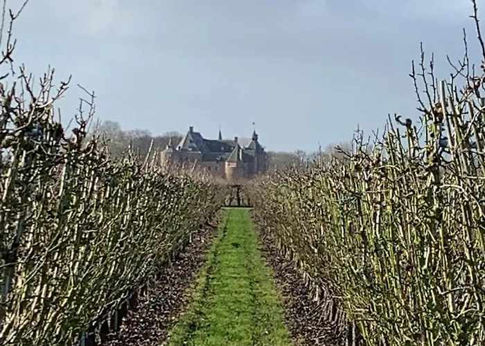 'het Haasje' Gasthuis 3*