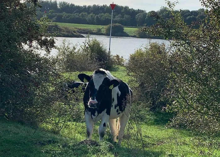 Gasthuis 'het Haasje' Hedel